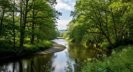 Serene River Landscape with Lush Greenery.