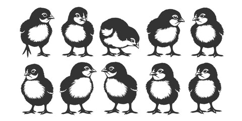 Cute baby chicks' silhouettes collection farm animals.
