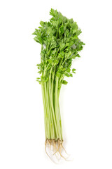 fresh celery with leaves isolated on white background.