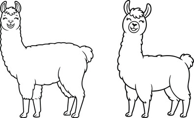 Obraz premium llama alpaca cartoon line art vector illustration