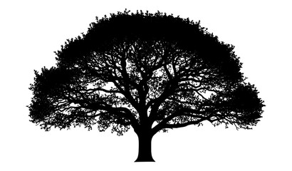Obraz premium Forest apple tree silhouette detailed nature vector isolated on transparent background