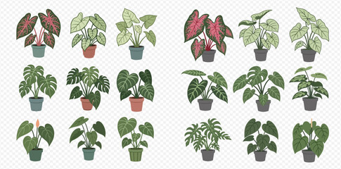 Collection of various potted houseplants with green and colorful leaves, perfect for indoor decor and gardening concepts. © MuammarAuliyan