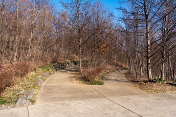 Park in winter autumn