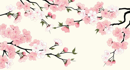 Elegant cherry blossom branches forming a delicate spring floral border. © Tukang