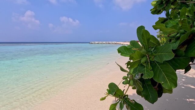Ukulhas maldives bikini beach white sand remote exotic island palm trees
