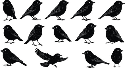 Obraz premium Black Bird Silhouette Vector Set with Flying and Standing Bird Shapes for Wildlife Design, Nature Illustration, Logos, and Decorative Graphics
