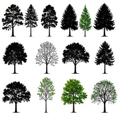 Collection of twelve diverse tree silhouettes and outlines with varying leaf structures and textures against a white background