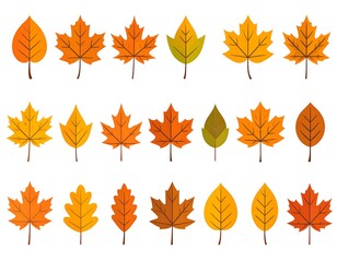 Naklejka premium Assortment of digitally illustrated colorful autumn leaves