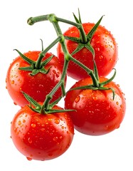 Four bright red, ripe tomatoes on a green vine, covered in water droplets, isolated on a white background