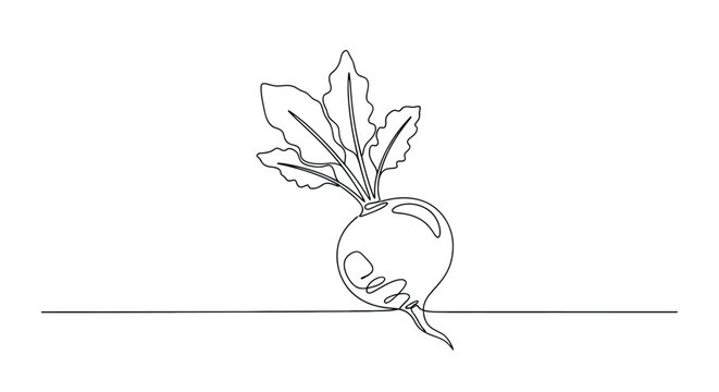 Minimalist single line drawing of a fresh radish with green leaves and root on a white background representing healthy eating and organic produce