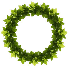 Fototapeta premium Beautiful green leaf wreath on white background isolated on transparent background