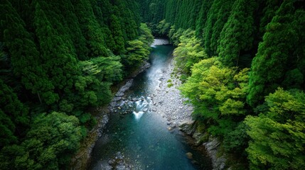 Serene crystal-clear mountain stream winding through lush emerald forest canopy