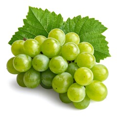 Fresh green grapes, lit beautifully, with leafy greens attached, isolated on a white background