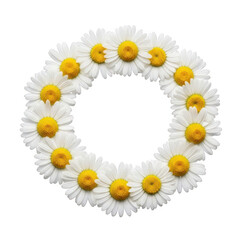 Fototapeta premium Beautiful daisies forming a circle on white background isolated on transparent background