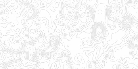 Obraz premium Minimal white line geometric grid outline curve counter map and wavy topography relief discovery area white, black line texture background.