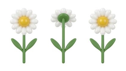 Set of three white daisy flowers with yellow centers and green stems, shown from different angles, on a white background