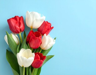 Bouquet of red and white tulips on a vibrant, light-blue background