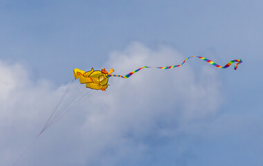Colorful kites soaring high in the sky at a vibrant kite festival on a sunny day.
