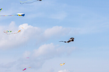 Colorful kites soaring high in the sky at a vibrant kite festival on a sunny day.
