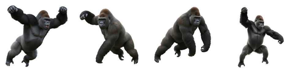 : Set of Gorilla Action Poses and Silverback Primate Movement PNG © michael