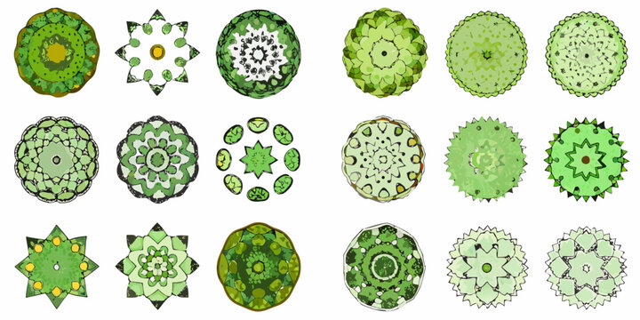 A collection of diverse desmid algae specimens viewed from above