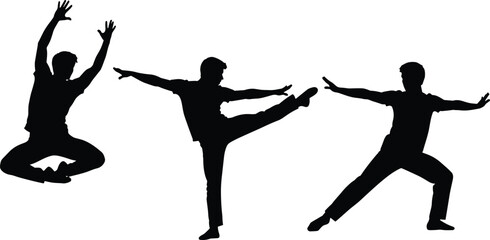 Martial arts silhouette vector set, karate kung fu poses, fighting action men, training workout, black shadow sports illustration design © Creatives World