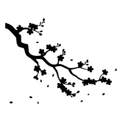 Elegant cherry blossom branch silhouette with falling petals on transparent background
