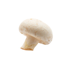 A single, fresh white champignon mushroom, isolated as a transparent PNG.