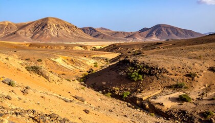 Arid landscape with hills under a clear blue sky. View shows a canyon, shrubbery, & distant mountains
