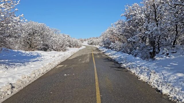 Snow-covered road winding through winter forest under clear blue sky, capturing seasonal tranquility and natural beauty.📍Marivan, Kurdistan 