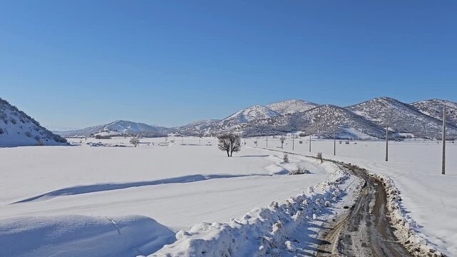 Snow-covered road winding across a winter plain with a single tree, utility poles, and distant mountains under a clear blue sky.  
📍Marivan, Kurdistan 
