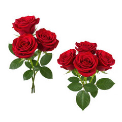 Fototapeta premium Beautiful red roses bouquet symbol of love romance isolated on transparent background