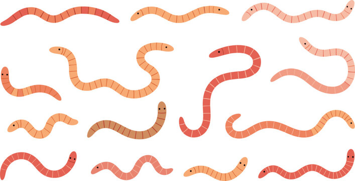 Cute Cartoon Worm Character Vector Set with Wiggly Earthworms in Different Poses for Kids Illustrations, Nature Designs, and Educational Graphics