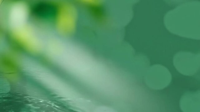 Shafts of light illuminate green leaves and water from above in a serene natural setting