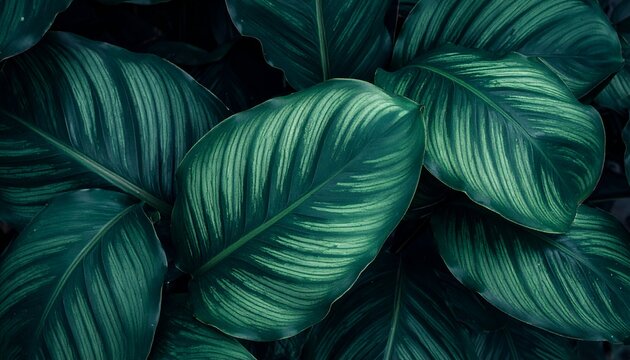 Close-up of textured green leaves, showing detailed venation and deep shadows creating an organic, natural pattern