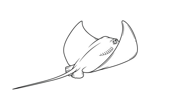 Unique stingray swimming with wide fins and a long tail in a detailed line art drawing capturing sea life for coloring.
