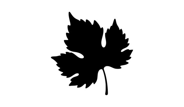 Grape leaf silhouette vector illustration isolated on white background
