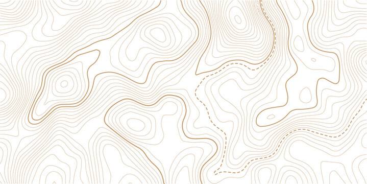 Abstract topographic contours map background. Topography lines and circles background. Topographic map Patterns,topographic line contour map background, geographic grid map, stock vector illustration.