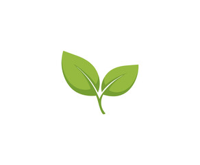 Fototapeta premium Green leaf illustration on black background