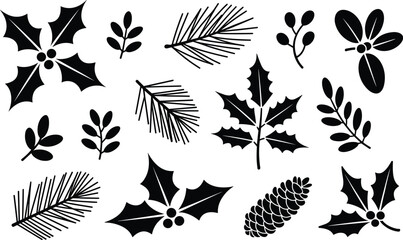 Assorted holiday foliage and pine branches isolated on transparent background