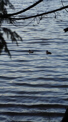 Rockey Point Park, British Columbia, Canada