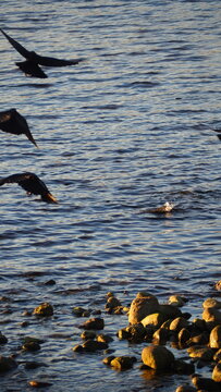 Rockey Point Park, British Columbia, Canada