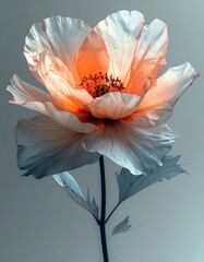 A flower-like outline that fades and breaks apart,_edges dissolving into empty space