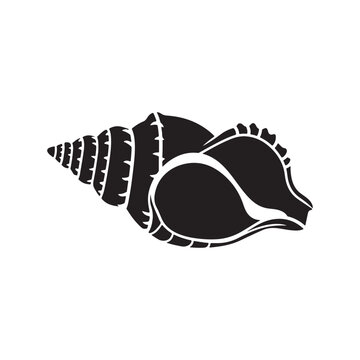 Rock shell black glyph icon. Exotic seashell, conchology silhouette symbol on white space. Astraea phoebia. Empty molluscan animal shell, ocean snail conch vector isolated illustrations
