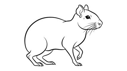 Fototapeta premium Rodent illustration: a simple outline of a rodent illustration. it's a sketch or artwork of rodent.