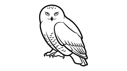 Snowy Owl Illustration: A striking black and white illustration of a majestic snowy owl, its piercing eyes and intricate feather details capture the essence of this arctic predator. © AJM