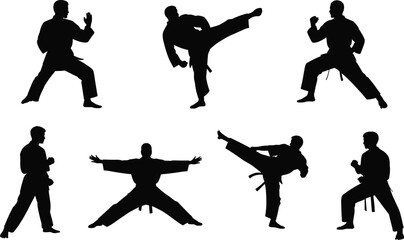 Silhouettes of martial artists performing various karate stances and dynamic kicks demonstrating discipline and combat readiness in a clean studio setting © MstAnowara