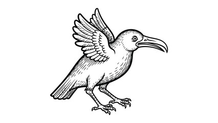 Obraz premium Raven in Flight: A meticulously detailed illustration of a raven in mid-flight, showcasing its impressive wingspan and powerful beak, ready to take wing or just landed. 