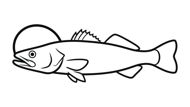Outline of the walleye : A simple monochrome illustration captures the detailed outline of a walleye, showcasing its distinct features and sleek form.