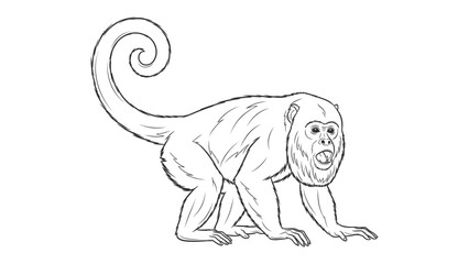 Obraz premium Monkey Illustration: A detailed black-and-white illustration of a monkey, capturing its expressive features and playful nature with lines and shading.